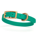 kelly green and gold biothane waterproof dog and cat collar with brass metal buckle hardware in size extra small that's 1/2 inch wide.