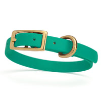 kelly green and gold biothane waterproof dog and cat collar with brass metal buckle hardware in size extra small that's 1/2 inch wide.