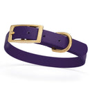 dark purple eggplant and gold biothane waterproof dog and cat collar with brass metal buckle hardware in size small that's 5/8 inch wide and looks like vegan faux leather.