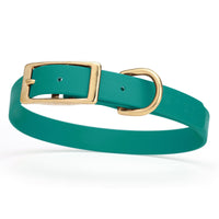 teal green and gold biothane waterproof dog and cat collar with brass metal buckle hardware in size medium that's 3/4 inch wide and looks like vegan faux leather.