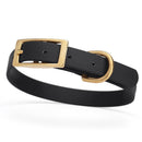 black and gold biothane waterproof dog and cat collar with brass metal buckle hardware in size small that's 5/8 inch wide and looks like vegan faux leather.