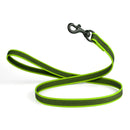 Rubber Infused Nylon Dog Leash