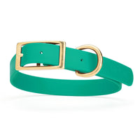 teal green and gold biothane waterproof dog and cat collar with brass metal buckle hardware in size extra large that's 1 inch wide, 22-25" long and looks like vegan faux leather.