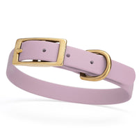lavender purple and gold biothane waterproof dog and cat collar with brass metal buckle hardware in size small that's 5/8 inch wide and looks like vegan faux leather.