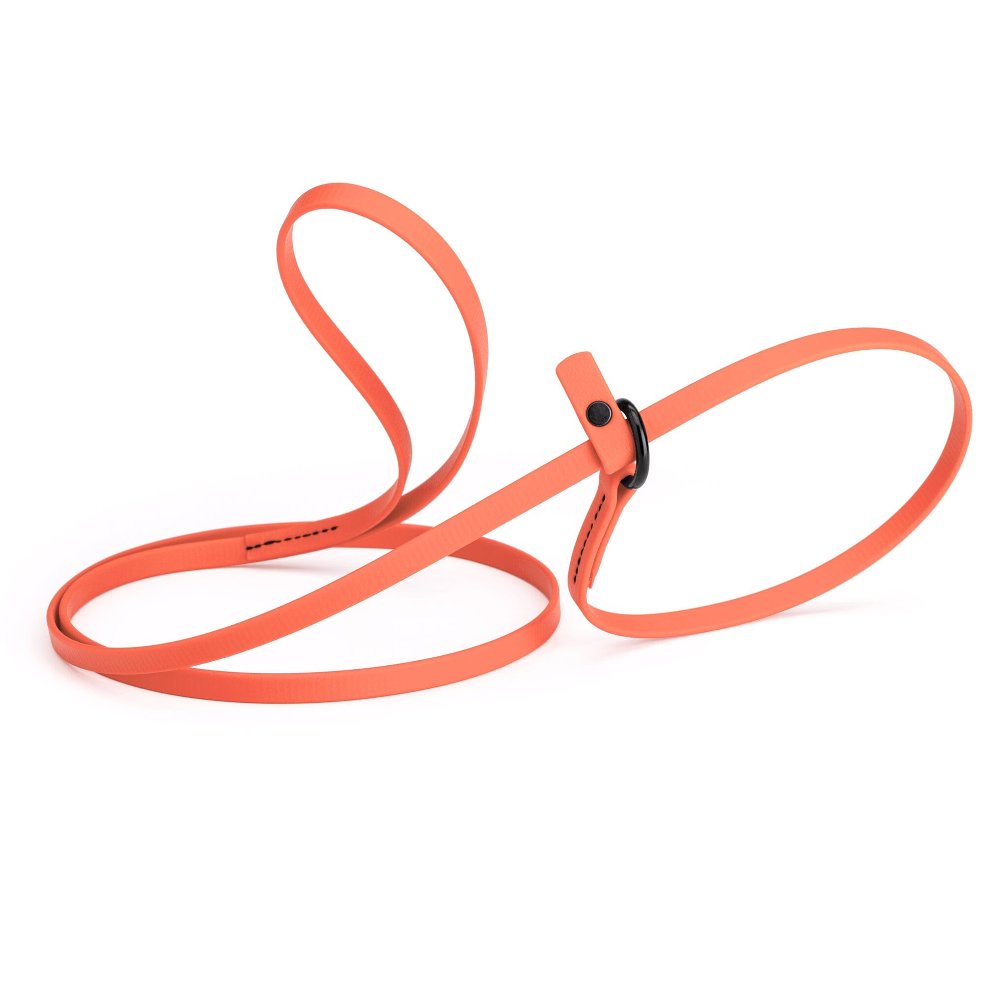 Biothane Slip Lead: 5ft, 7ft; 3/8", 5/8", 1/2" widths