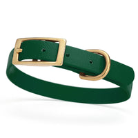forest dark green and gold biothane waterproof dog and cat collar with brass metal buckle hardware in size small that's 5/8 inch wide and looks like vegan faux leather.
