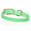 mint green and gold biothane waterproof dog and cat collar with brass metal buckle hardware in size medium that's 3/4 inch wide and looks like vegan faux leather.