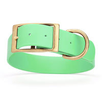 light green and gold biothane waterproof dog and cat collar with brass metal buckle hardware in size XXL that's 1.5 inches wide, 24-28" long and looks like vegan faux leather.