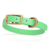 light mint green and gold biothane waterproof dog and cat collar with brass metal buckle hardware in size extra small that's a 1/2 inch wide and looks like vegan faux leather.