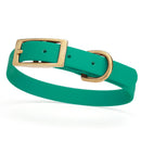 teal green and gold biothane waterproof dog and cat collar with brass metal buckle hardware in size small that's 5/8 inch wide and looks like vegan faux leather.