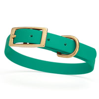 teal green and gold biothane waterproof dog and cat collar with brass metal buckle hardware in size small that's 5/8 inch wide and looks like vegan faux leather.