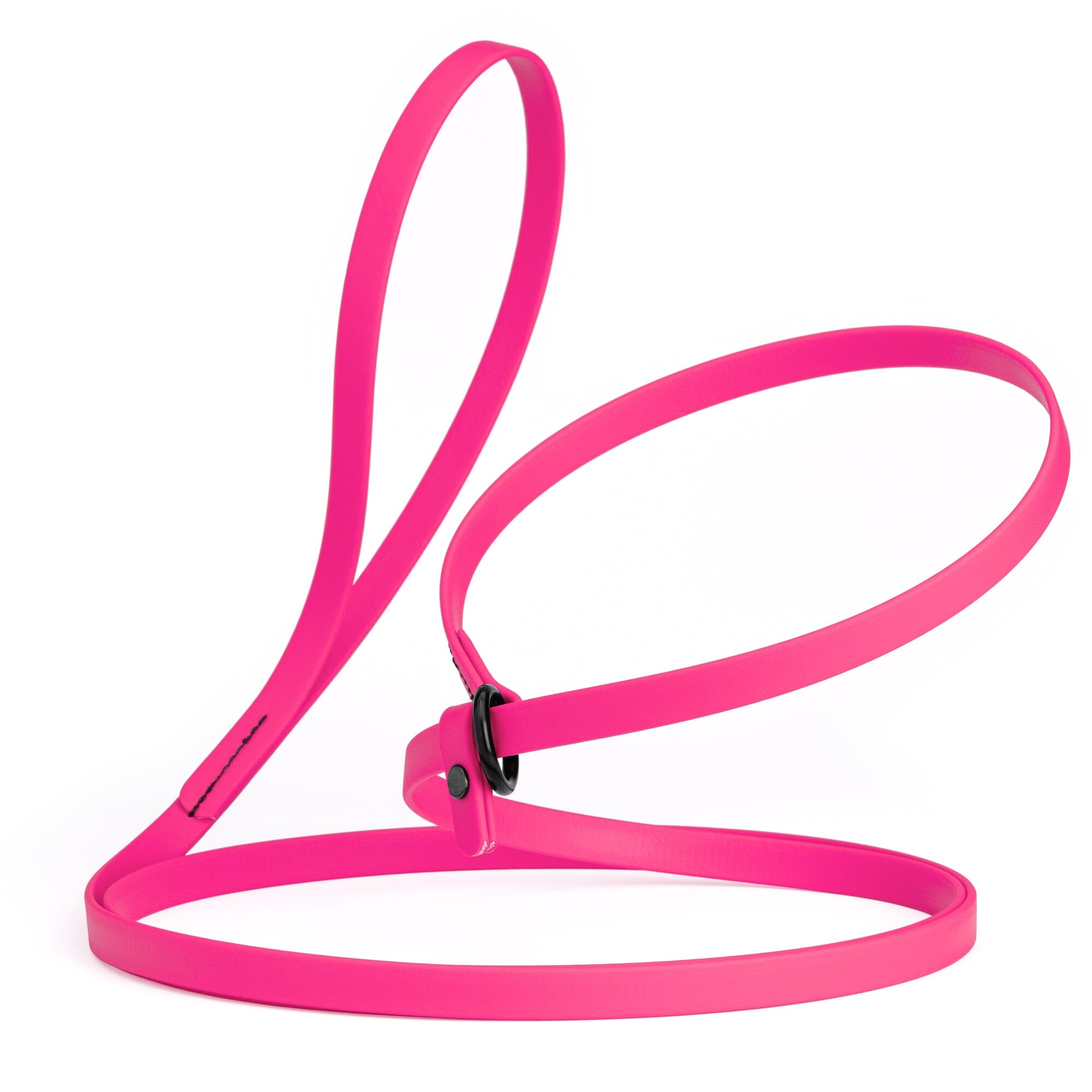 Biothane Slip Lead: 5ft, 7ft; 3/8", 5/8", 1/2" widths