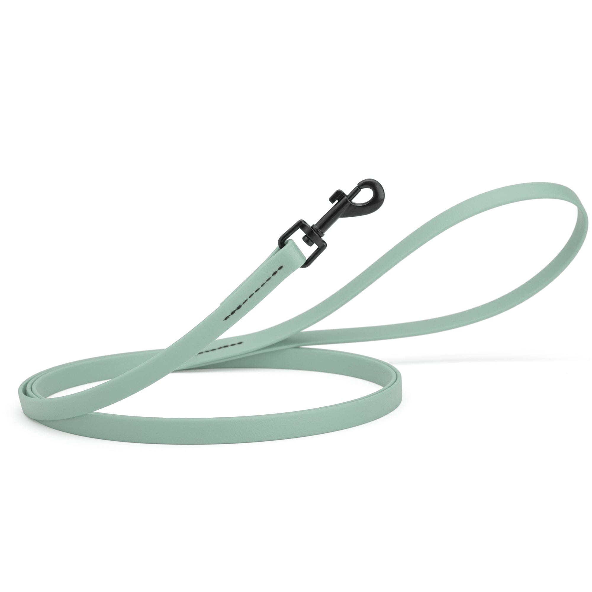 Biothane Waterproof Dog Leash, 4 ft