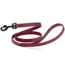 Biothane Waterproof Dog Leash, 4 ft