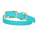 turquoise/aqua blue and gold biothane waterproof dog and cat collar with brass metal buckle hardware in size extra large that's 1 inch wide, 22-25" long and looks like vegan faux leather.