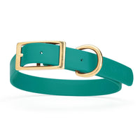 dark teal green and gold biothane waterproof dog and cat collar with brass metal buckle hardware in size large that's 1 inch wide and looks like vegan faux leather.