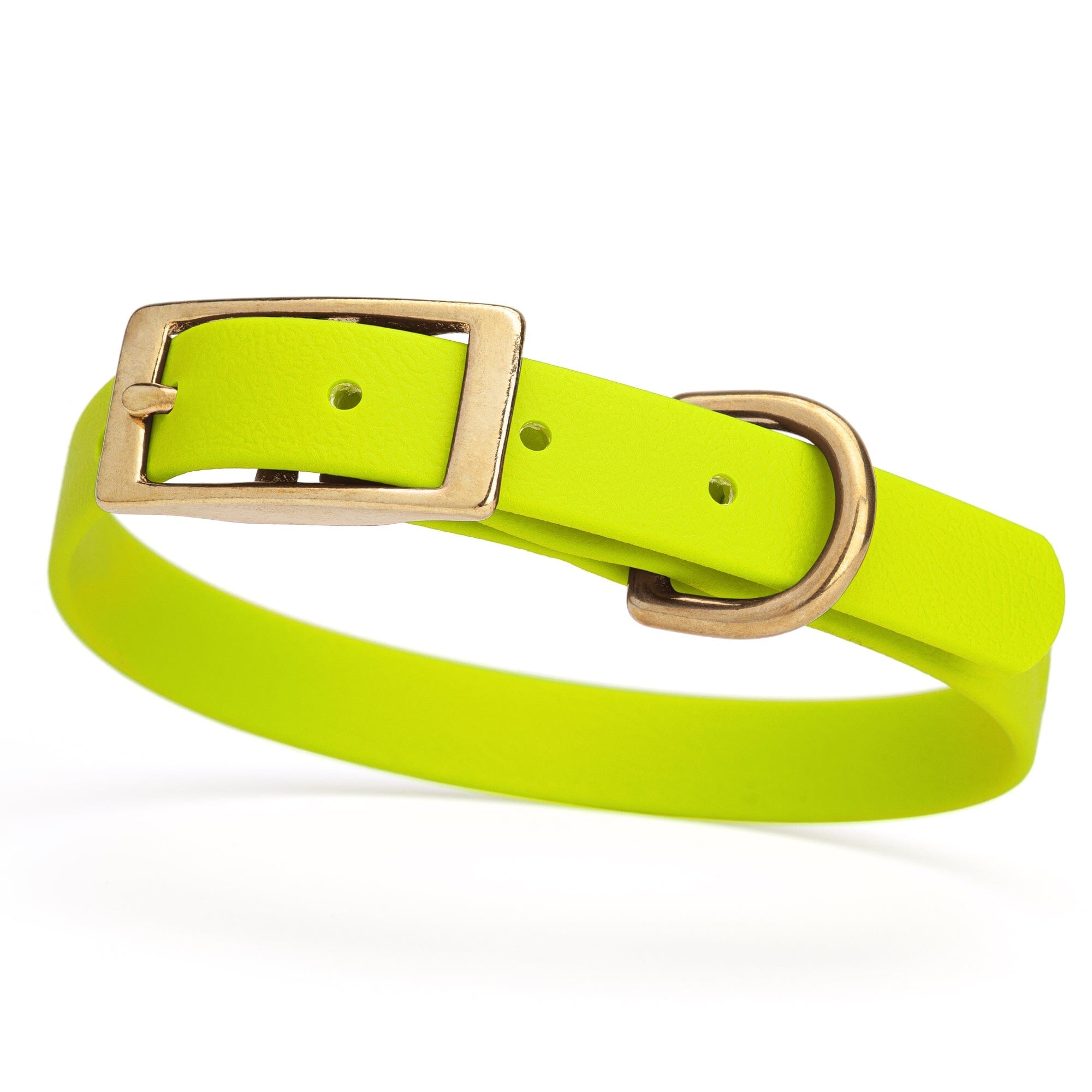 neon yellow and gold biothane waterproof dog and cat collar with brass metal buckle hardware in size small that's 5/8 inch wide and looks like vegan faux leather.