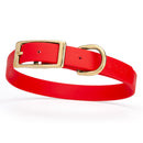 bright neon red and gold biothane waterproof dog and cat collar with brass metal buckle hardware in size medium that's 3/4 inch wide and looks like vegan faux leather.