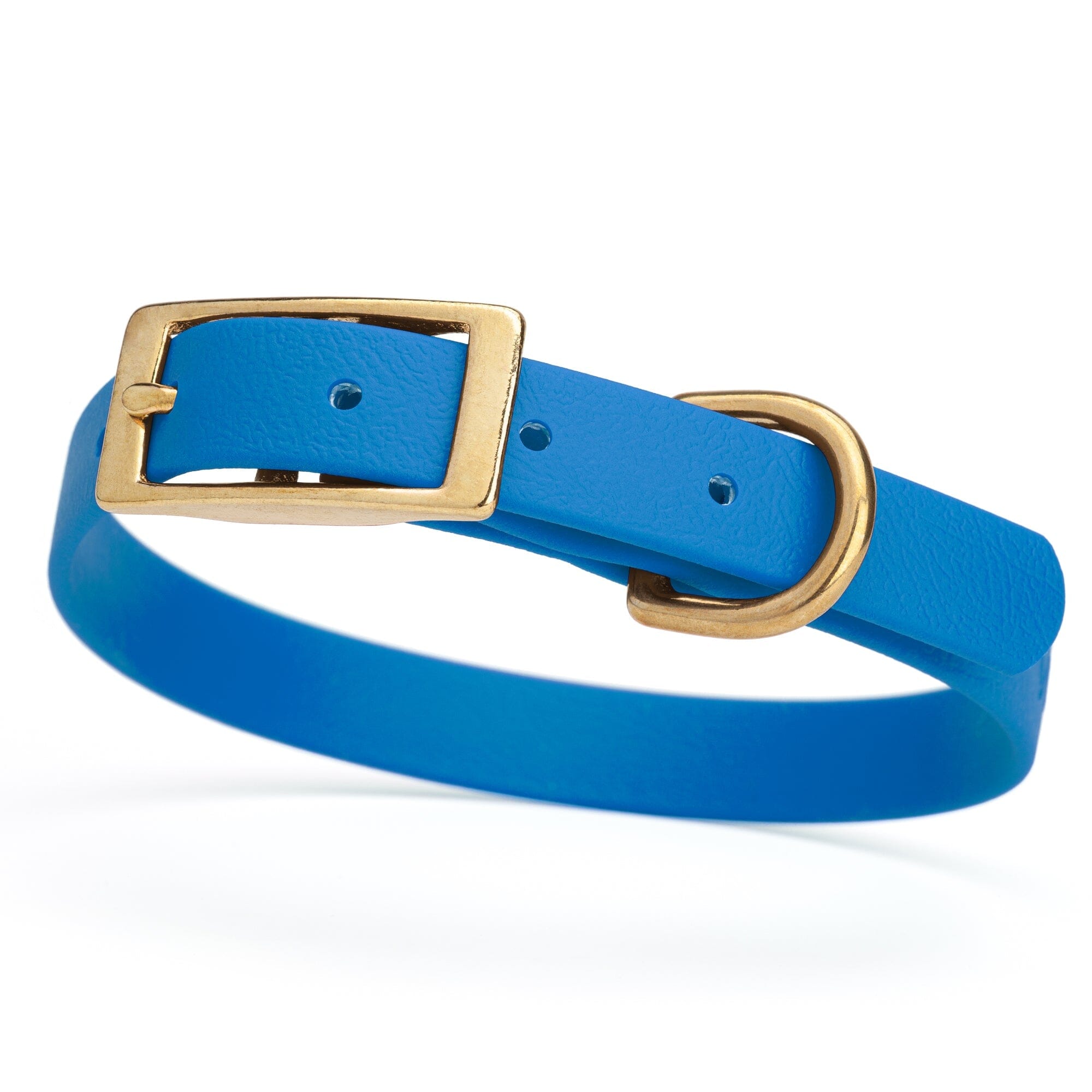 bright blue and gold biothane waterproof dog and cat collar with brass metal buckle hardware in size small that's 5/8 inch wide and looks like vegan faux leather.