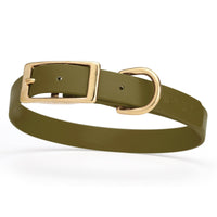 olive green and gold biothane waterproof dog and cat collar with brass metal buckle hardware in size medium that's 3/4 inch wide and looks like vegan faux leather.