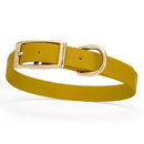 mustard yellow/chartreuse and gold biothane waterproof dog and cat collar with brass metal buckle hardware in size medium that's 3/4 inch wide and looks like vegan faux leather.