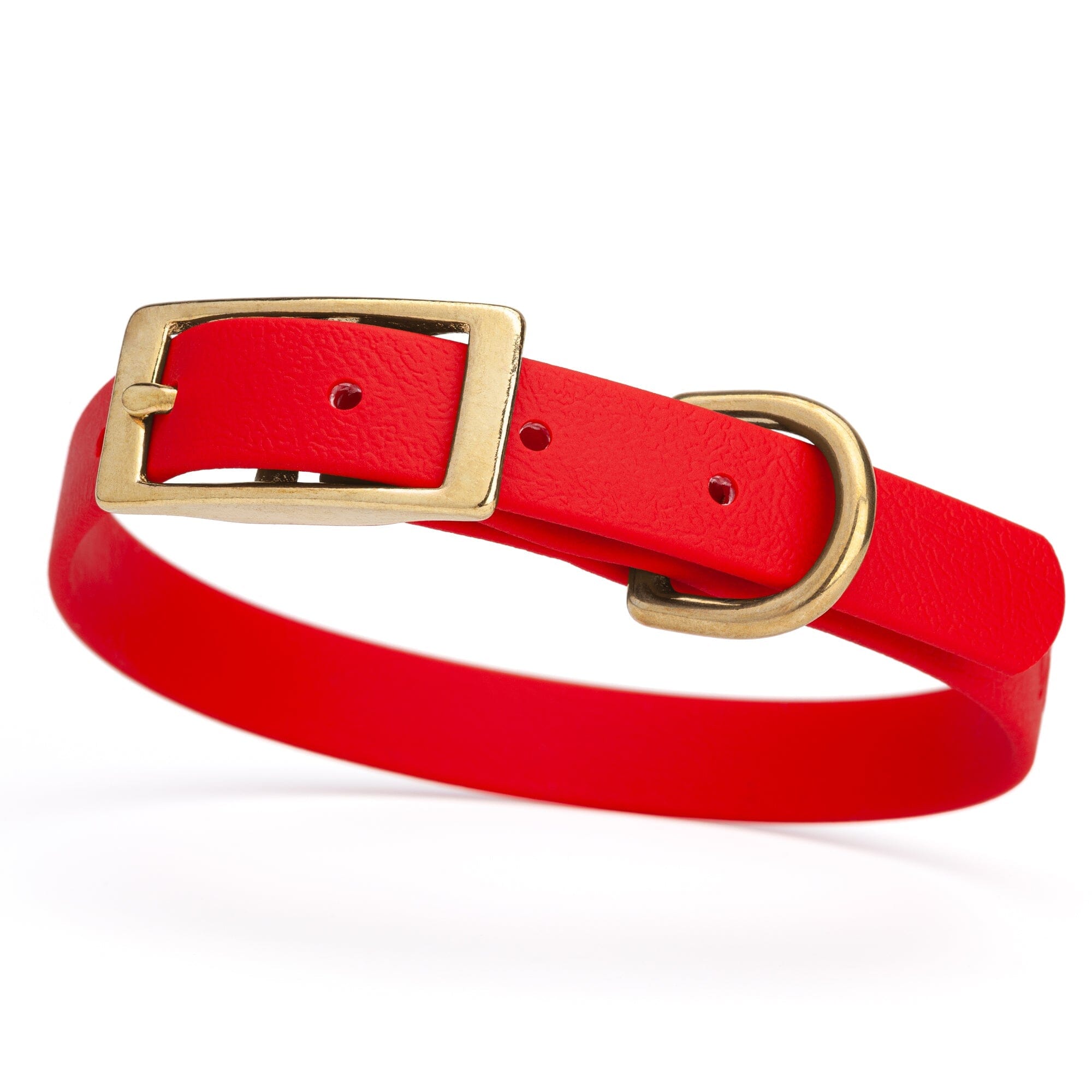 bright red and gold biothane waterproof dog and cat collar with brass metal buckle hardware in size small that's 5/8 inch wide and looks like vegan faux leather.