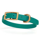 dark green/teal and gold biothane waterproof dog and cat collar with brass metal buckle hardware in size extra small that's 1/2 inch wide.