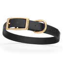 black and gold biothane waterproof dog and cat collar with brass metal buckle hardware in size medium that's 3/4 inch wide and looks like vegan faux leather.