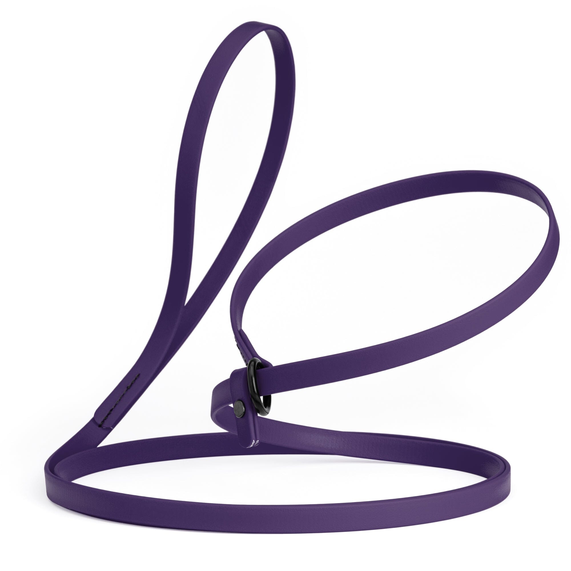 Biothane Slip Lead: 5ft, 7ft; 3/8", 5/8", 1/2" widths