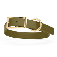 olive green and gold biothane waterproof dog and cat collar with brass metal buckle hardware in size extra large that's 1 inch wide, 22-25" long and looks like vegan faux leather.
