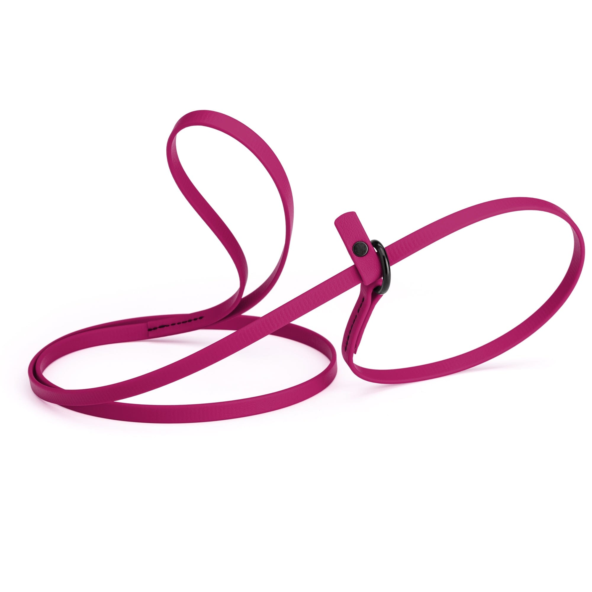 Biothane Slip Lead: 5ft, 7ft; 3/8", 5/8", 1/2" widths