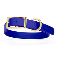 royal blue and gold biothane waterproof dog and cat collar with brass metal buckle hardware in size extra large that's 1 inch wide, 22-25" long and looks like vegan faux leather.