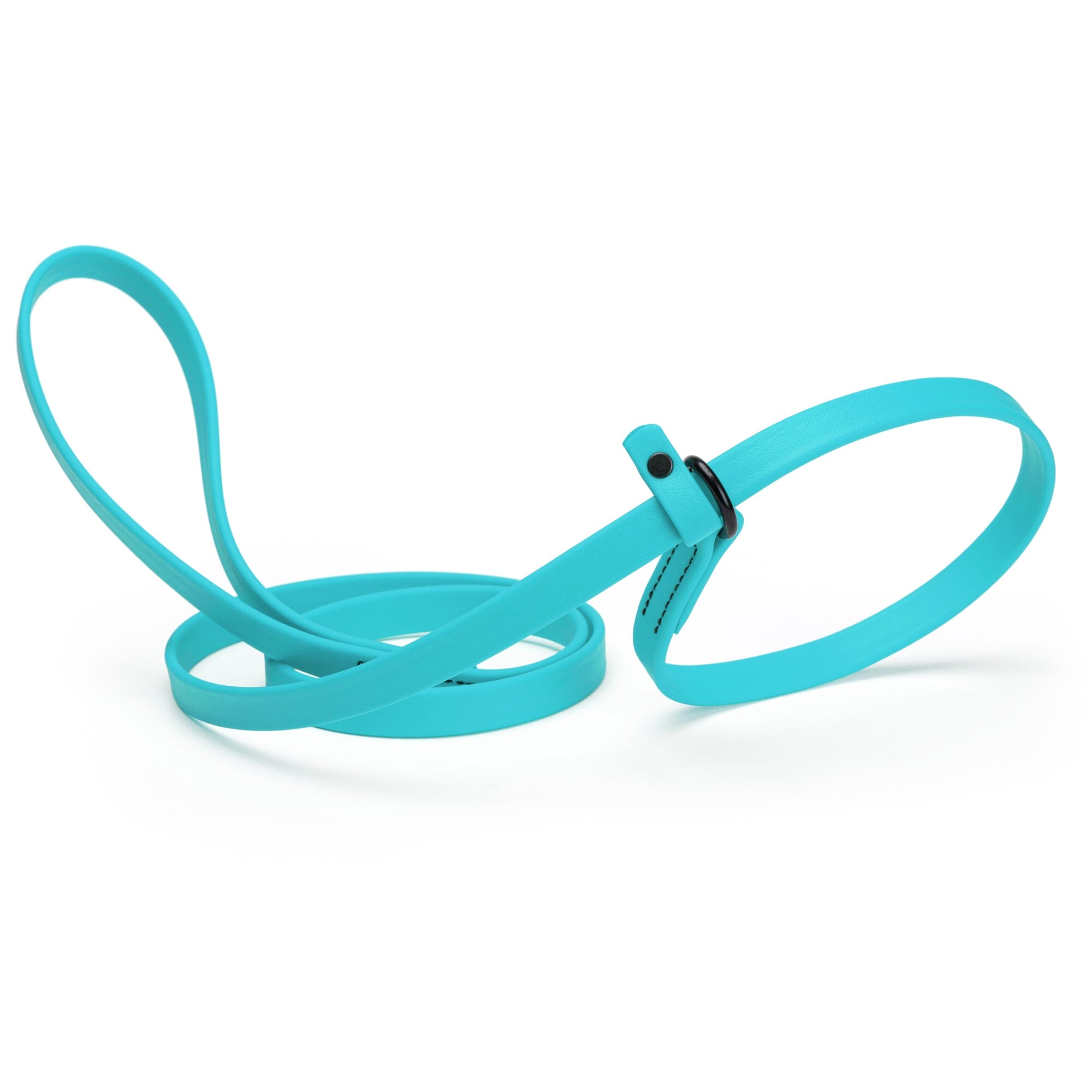 sky blue waterproof Biothane Slip Lead leash in 5ft or 7ft and 3/8", 5/8" or 1/2" widths