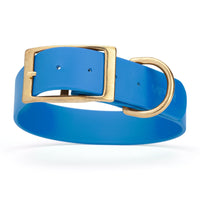 bright blue and gold biothane waterproof dog and cat collar with brass metal buckle hardware in size XXL that's 1.5 inches wide, 24-28" long and looks like vegan faux leather.