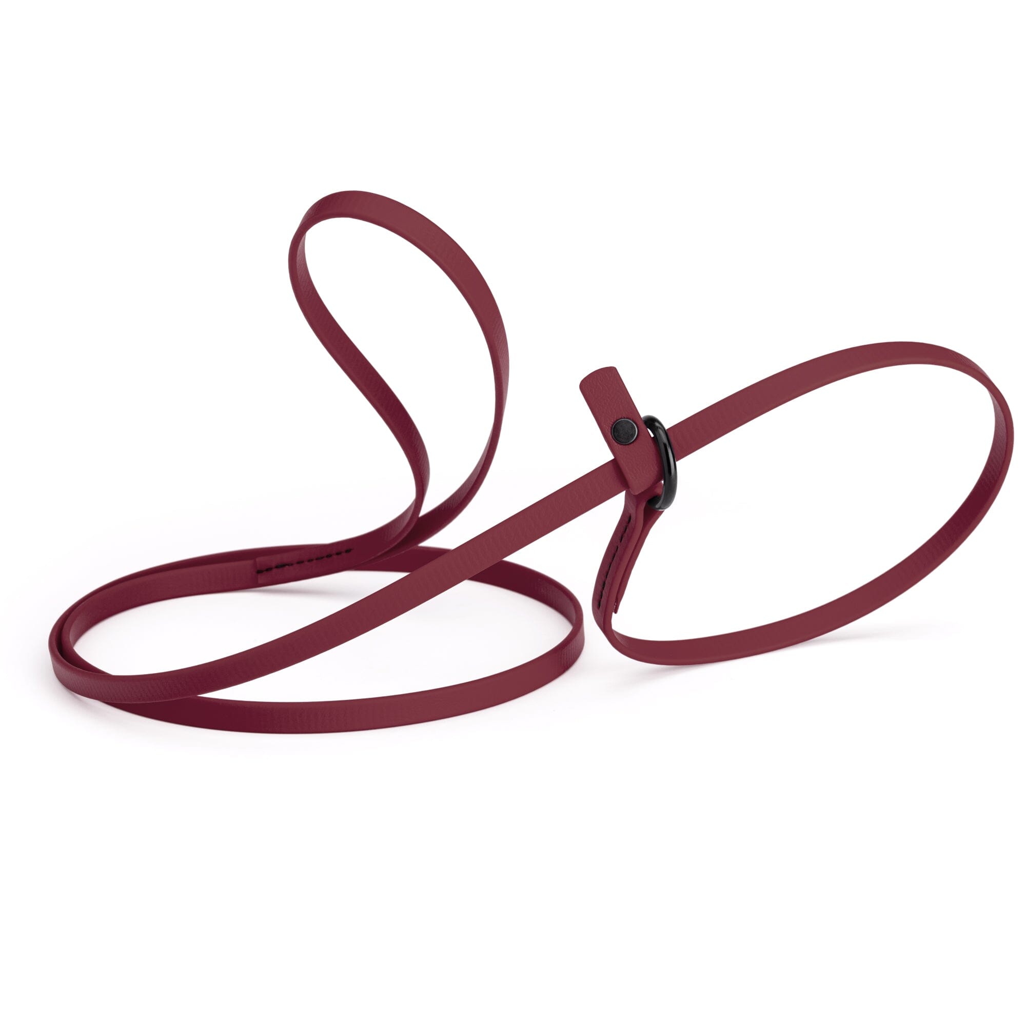 Biothane Slip Lead: 5ft, 7ft; 3/8", 5/8", 1/2" widths