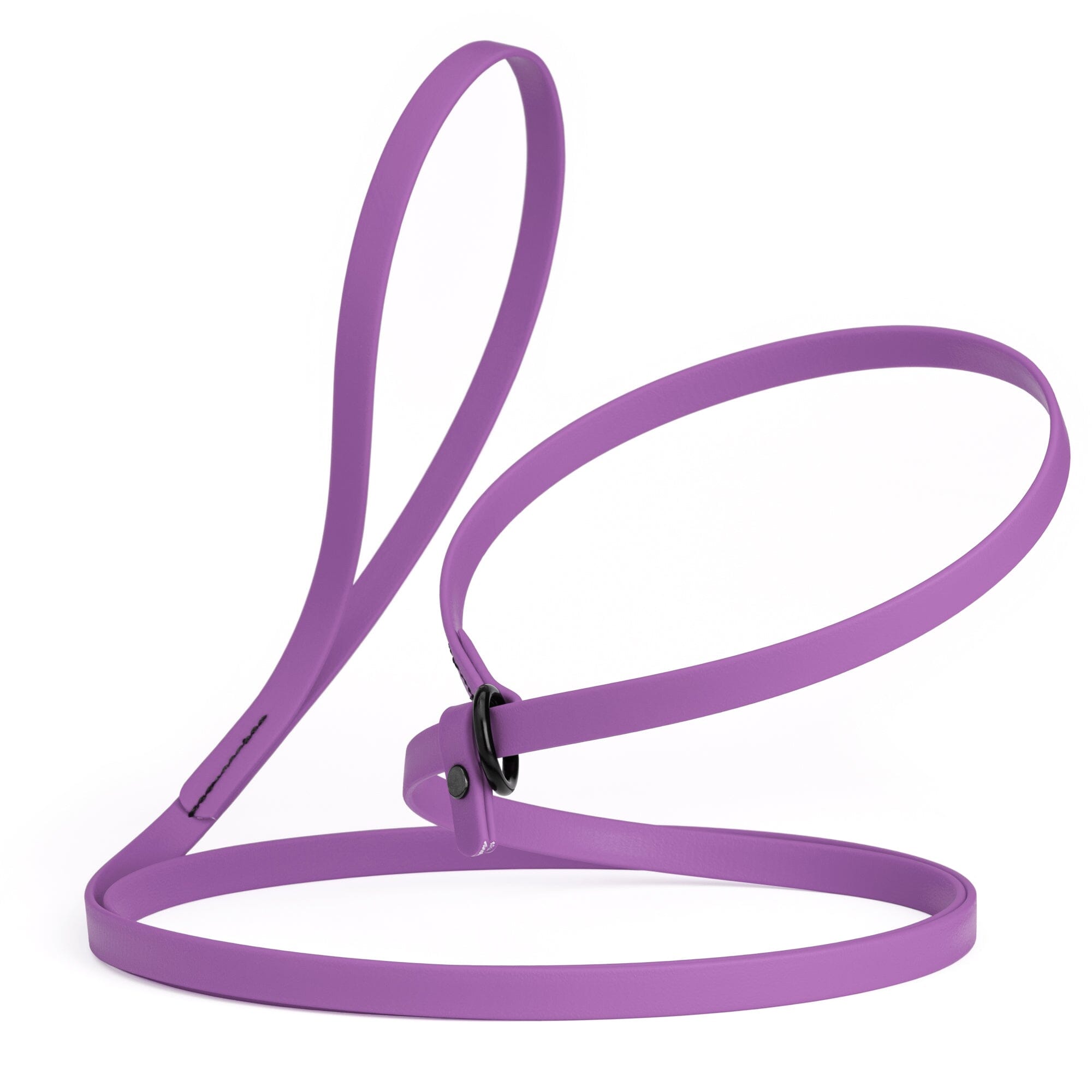 Biothane Slip Lead: 5ft, 7ft; 3/8", 5/8", 1/2" widths