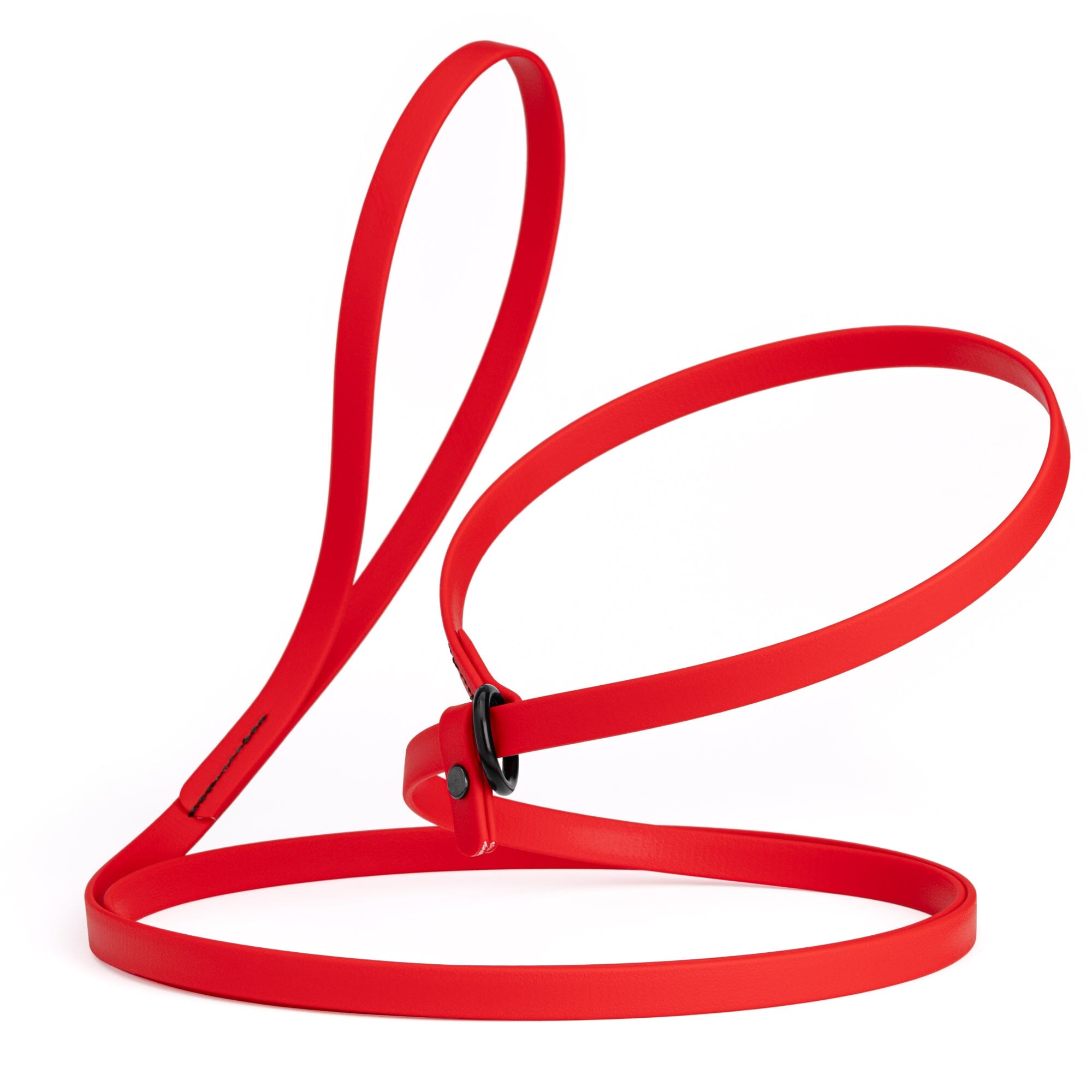 Biothane Slip Lead: 5ft, 7ft; 3/8", 5/8", 1/2" widths