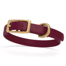 Maroon/merlot burgundy and gold biothane waterproof dog and cat collar with brass metal buckle hardware in size extra small that's a 1/2 inch wide and looks like vegan faux leather.