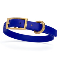 a dark blue and gold biothane waterproof dog and cat collar with brass metal buckle hardware in size extra small that's 1/2 inch wide.