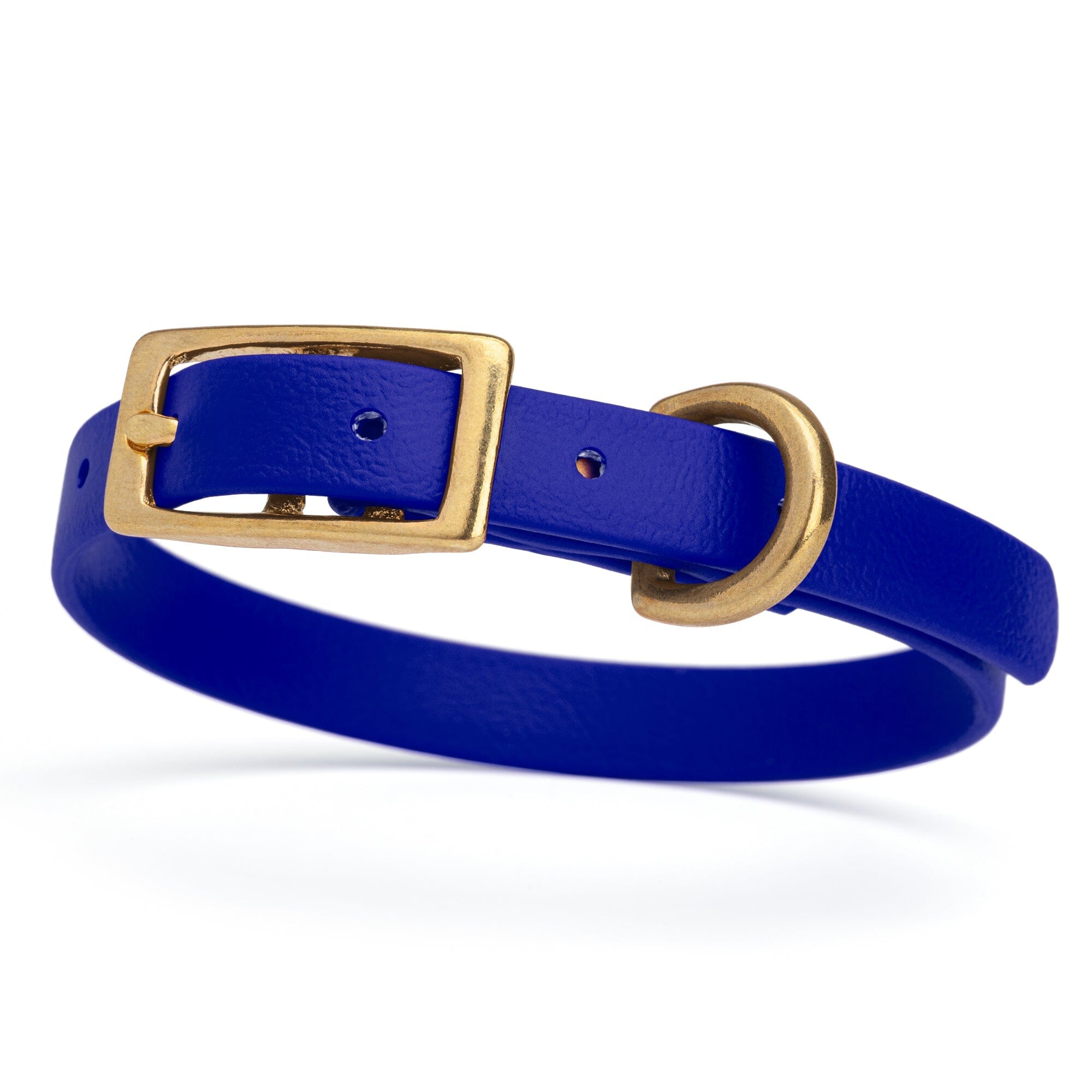 a dark blue and gold biothane waterproof dog and cat collar with brass metal buckle hardware in size extra small that's 1/2 inch wide.