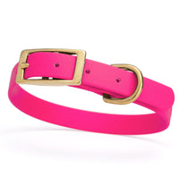 hot pink and gold biothane waterproof dog and cat collar with brass metal buckle hardware in size small that's 5/8 inch wide and looks like vegan faux leather.