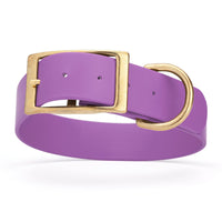 lilac purple and gold biothane waterproof dog and cat collar with brass metal buckle hardware in size XXL that's 1.5 inches wide, 24-28" long and looks like vegan faux leather.