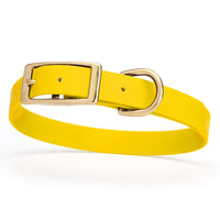 yellow and gold biothane waterproof dog and cat collar with brass metal buckle hardware in size medium that's 3/4 inch wide and looks like vegan faux leather.