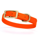 neon hunter orange and gold biothane waterproof dog and cat collar with brass metal buckle hardware in size small that's 5/8 inch wide and looks like vegan faux leather.