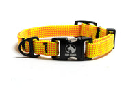 Narrow Adventure Collar