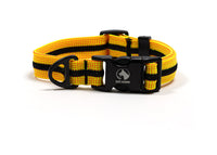 Adventure Dog Collar - Greens/Yellows