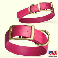 Brass: XL (22-25"long, 1"wide) Biothane Collar