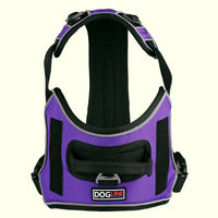 Quest No-Pull Dog Harness
