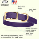 Brass: LARGE (18-22"long, 1"wide) Biothane Collar