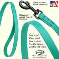 Black Clip - SMOOTH BioThane Traffic Lead: 2 ft; 3/4" width